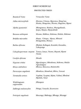 Schedule One - Malawi Protected Species (tree) List